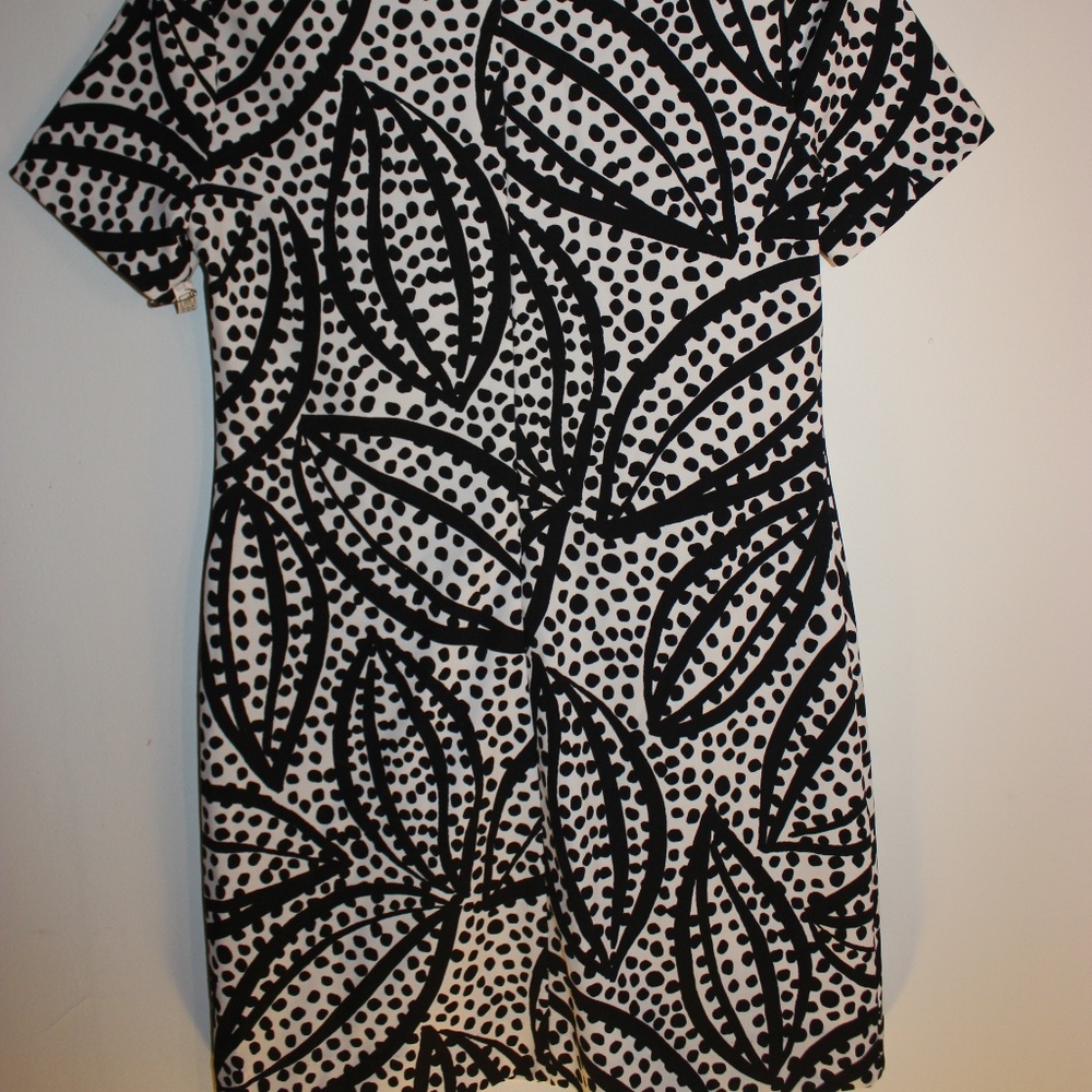 Ann Taylor Black and White Print Dress